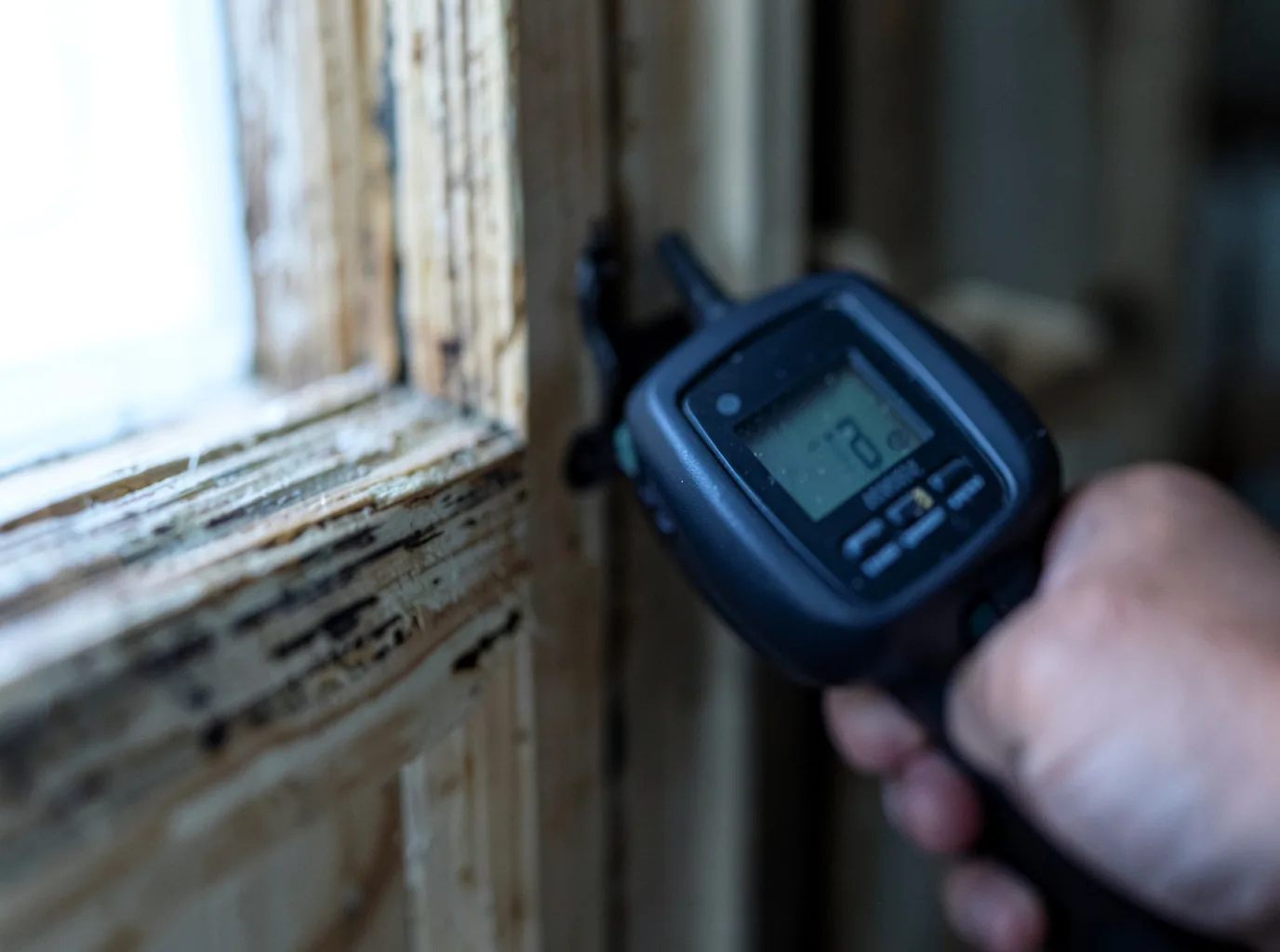 Moisture Inspection And Documentation in Aspen, CO